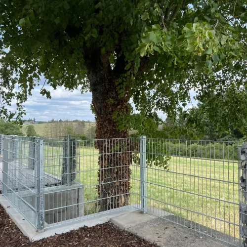 480678941_122200001846176050_2397555036107860035_n