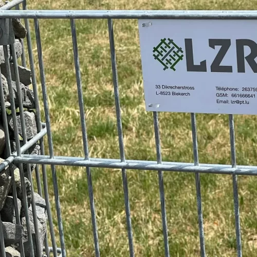 480696200_122200001834176050_590601713669413296_n